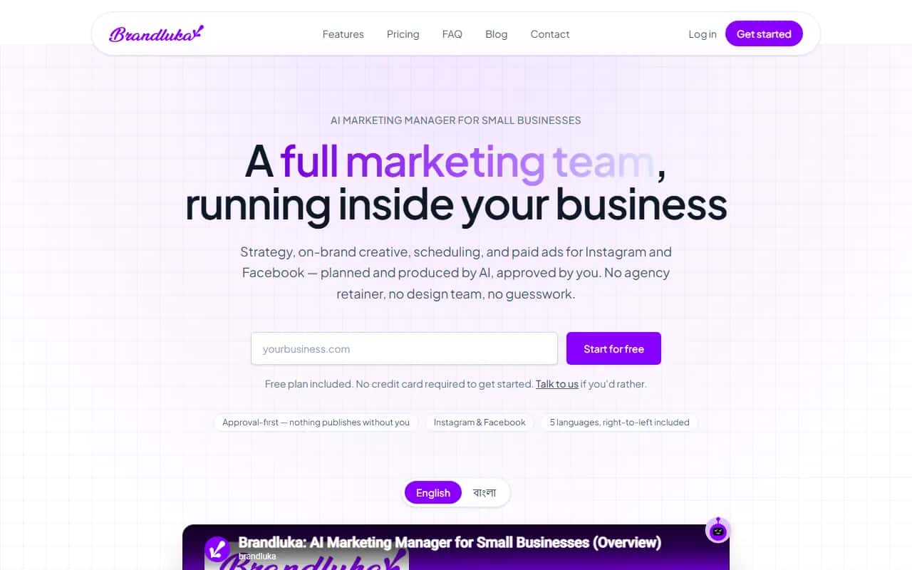 Brandluka's live homepage: “A full marketing team, running inside your business”